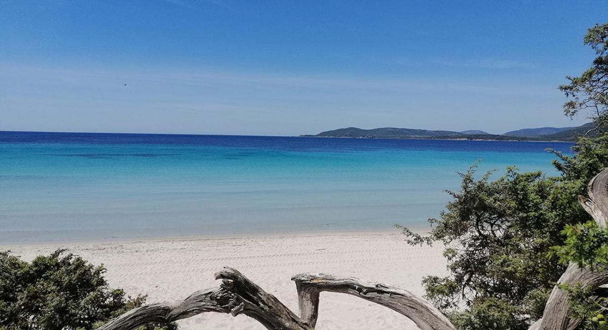 Lu Bobo Villa Alghero Exteriör bild